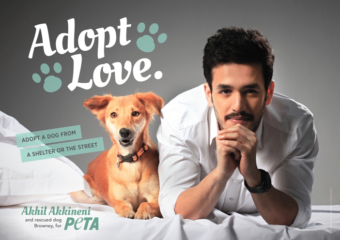 Ankhill Akkineni Ad_India_A4_alt image